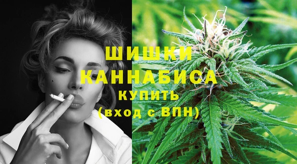 PSILOCYBIN Богородицк