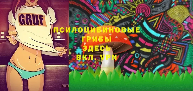 Псилоцибиновые грибы Psilocybe  дарнет шоп  гидра   Кущёвская 